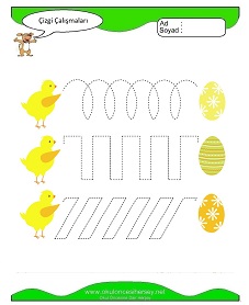 Çizgi Çalışma Sayfaları